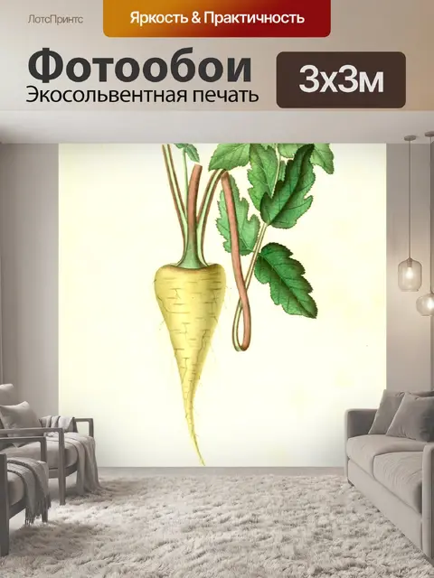 Фотообои Винтажная овощная репа