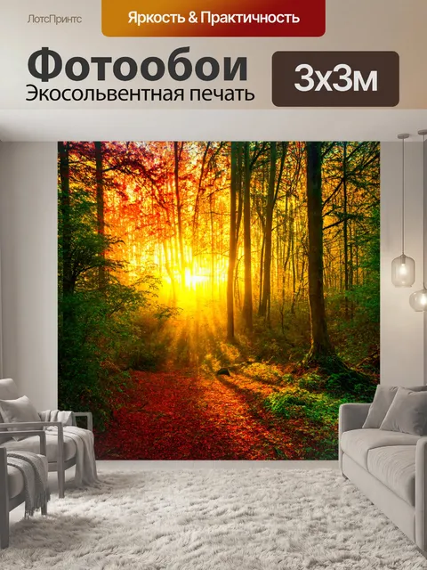 Фотообои лес с красочным рассветом, который освещает листву и землю