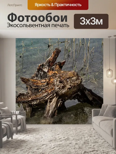Фотообои Древесина