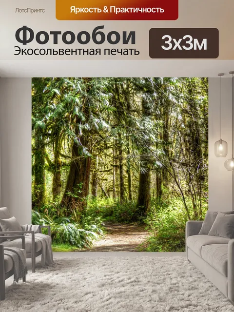 Фотообои Лесной путь