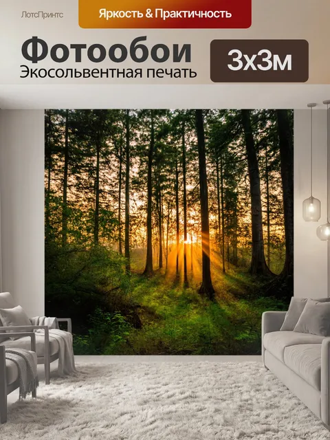 Фотообои лес с вечерним светом заката, преломляющимся сквозь деревья и заросли