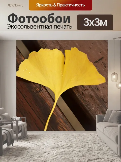 Фотообои Гинкго