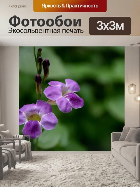 Фотообои Цветы