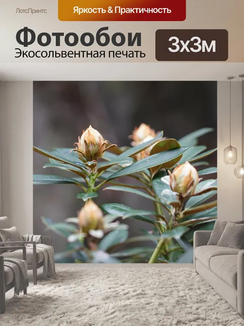 Фотообои Бутон пиона