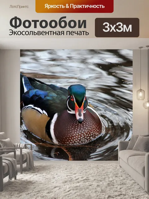 Фотообои Красочные Утка