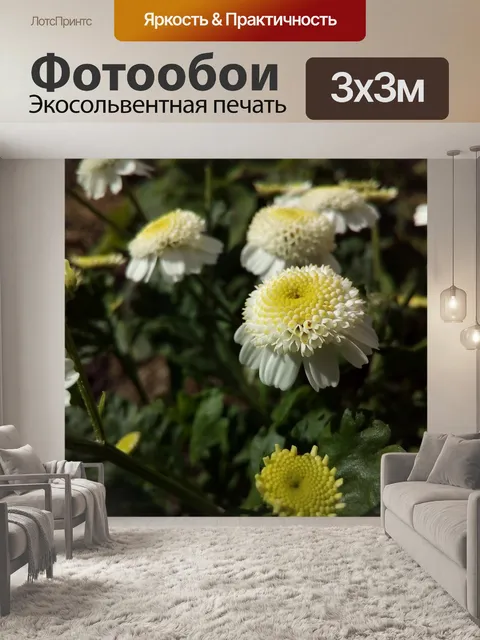 Фотообои Белый