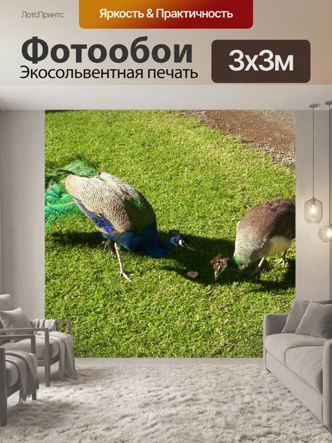 Фотообои Павлины