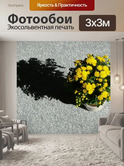 Фотообои Садовые хризантемы