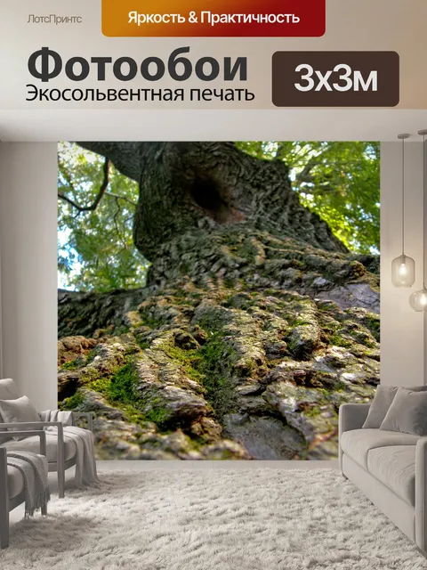 Фотообои Дерево