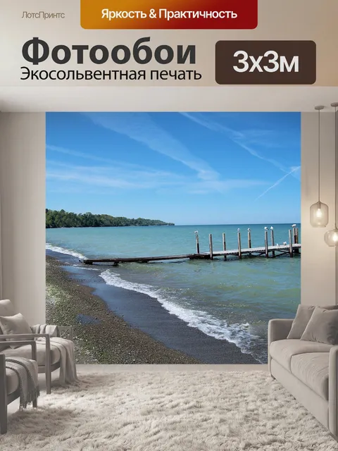 Фотообои Чайки Dock