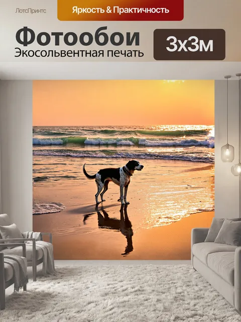 Фотообои на живописном пляже, где волны нежно омывают берег, английский спрингер спаниель любуется закатом