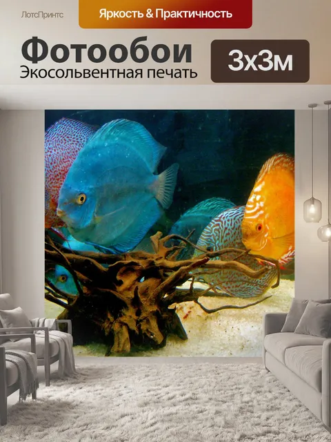 Фотообои Дискус
