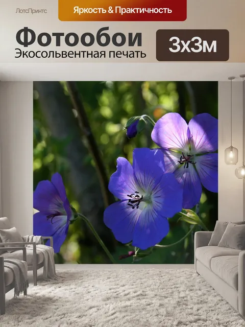 Фотообои Синий