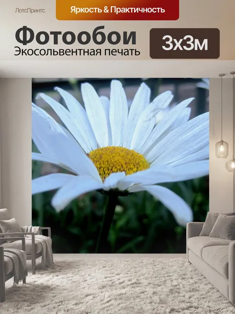 Фотообои чистая белые ромашки