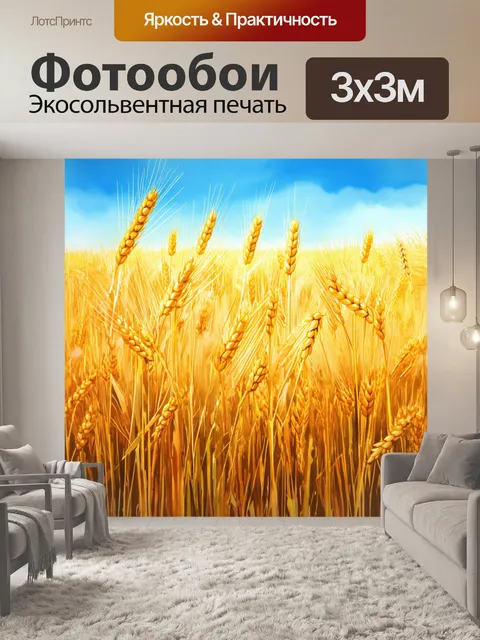 Фотообои поле золотистой пшеницы под синим небом