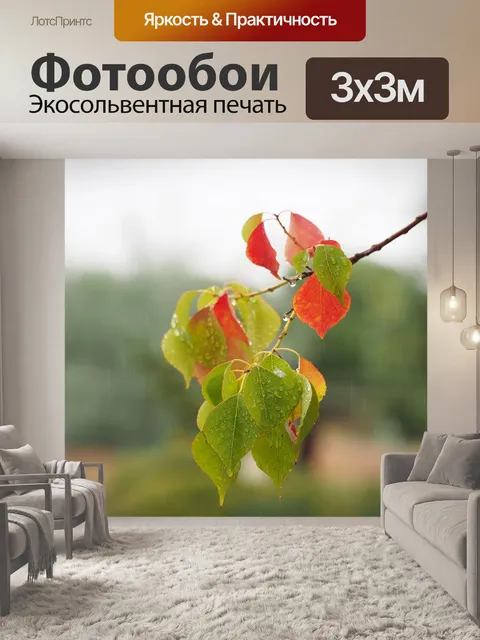 Фотообои Осенний цвет