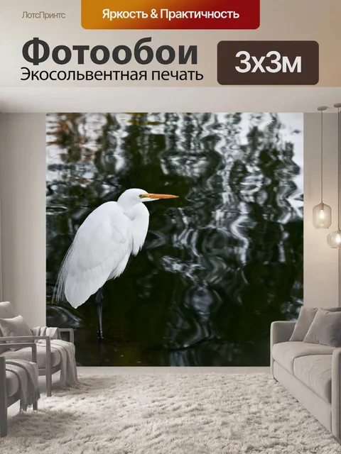 Фотообои Большая белая цапля