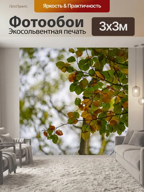 Фотообои Осенние листья