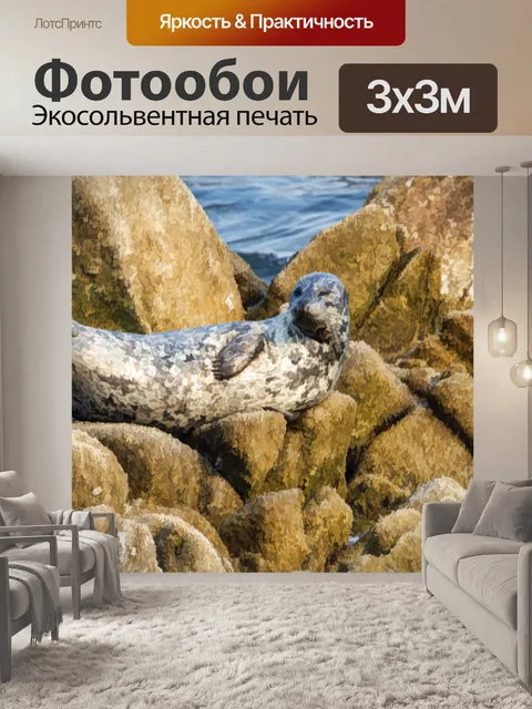 Фотообои морской лев на скалах