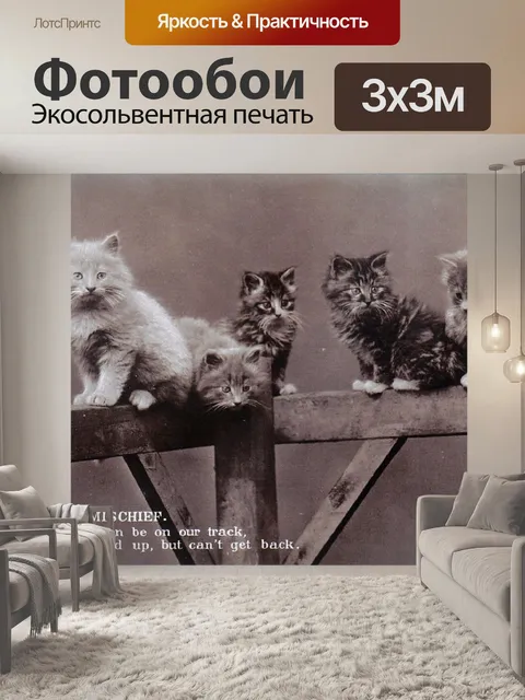 Фотообои До вредных котят на заборе