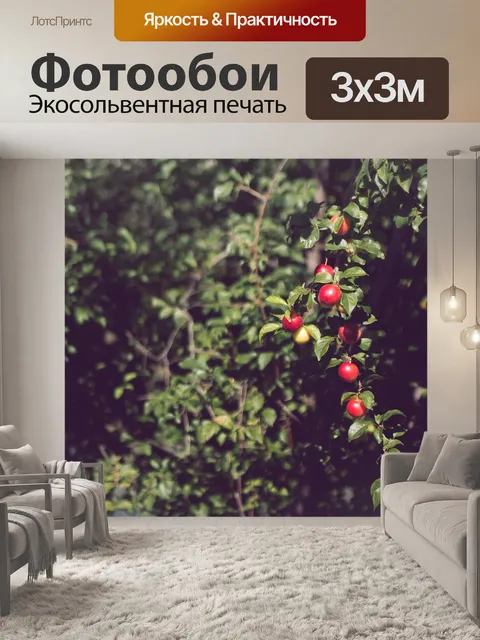 Фотообои Еда