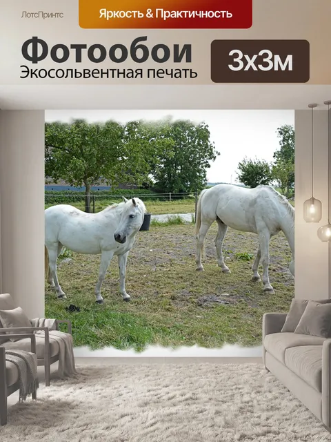 Фотообои 2 раза