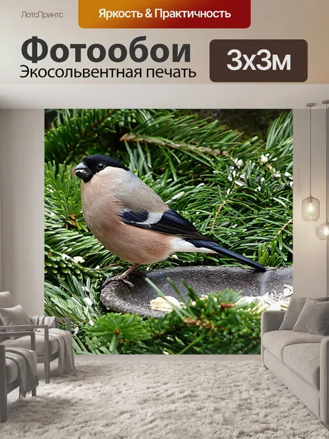 Фотообои Снегирь