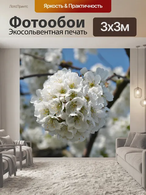 Фотообои Яблоко