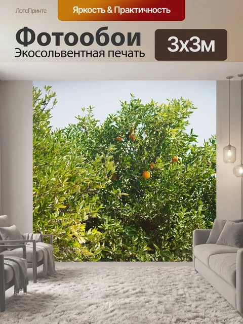 Фотообои деревья со спелыми апельсинами в саду