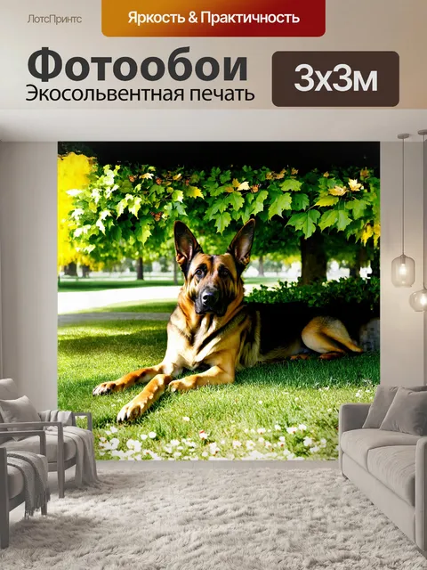 Фотообои старая немецкая овчарка, отдыхающая под сенью широколиственного дерева в парке