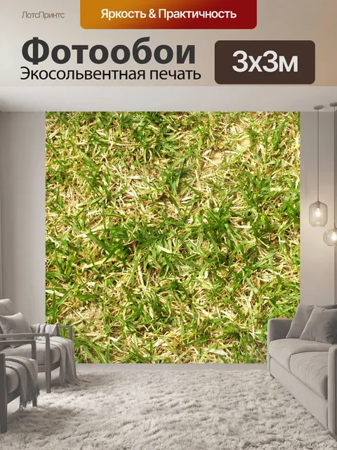 Фотообои Зеленая трава
