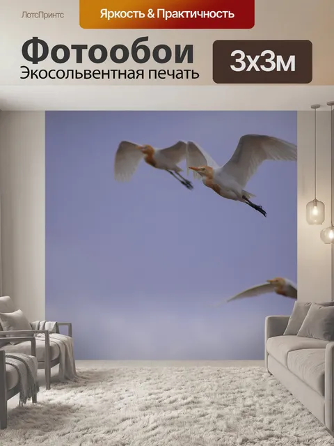 Фотообои Краны
