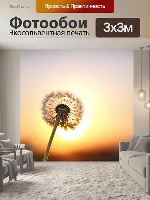 Фотообои одуванчик, распускающий свои семена на фоне заката, мягкий свет наполняет сцену