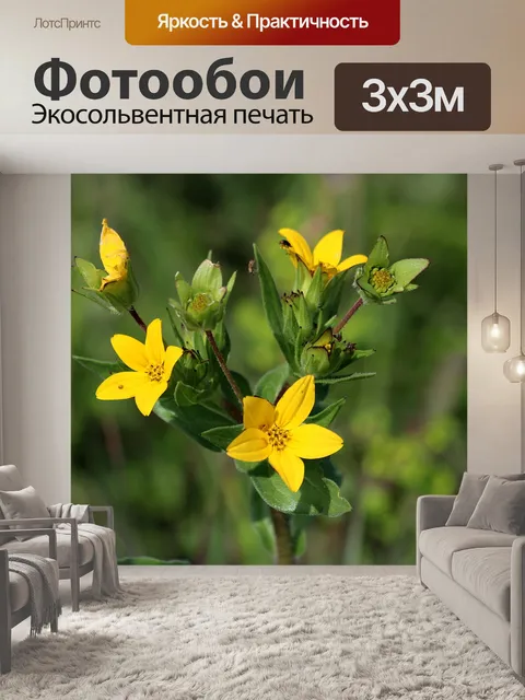 Фотообои Техасская желтая звезда Полевые цветы 3