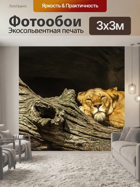 Фотообои Пантера лев