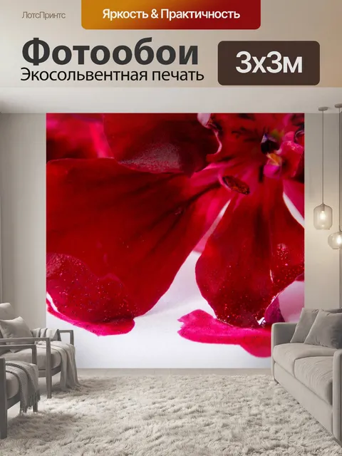 Фотообои Цветы