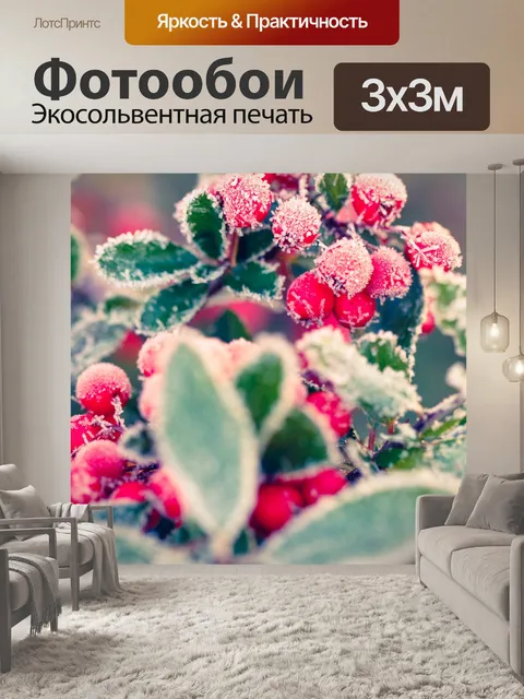 Фотообои Иней на красных ягодах