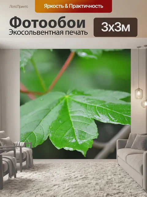 Фотообои Дождевая капля