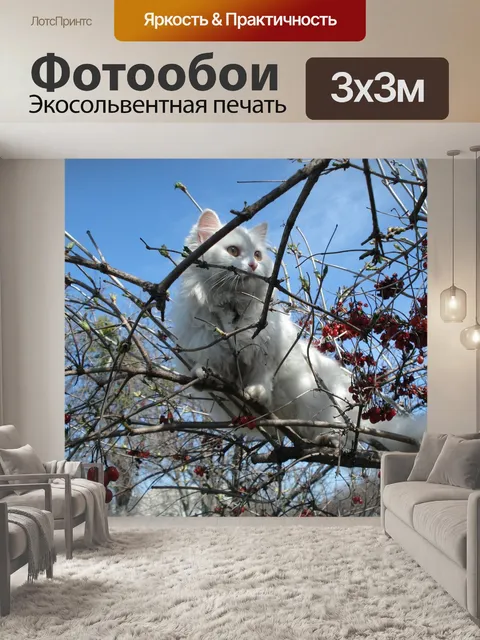 Фотообои Кошка