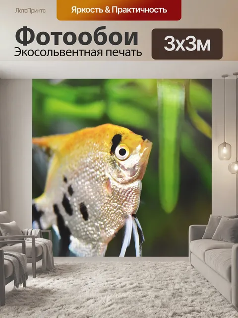 Фотообои Рыбы