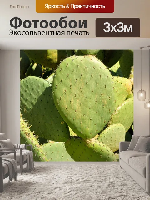 Фотообои опунция кактус