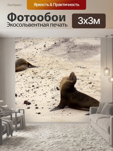 Фотообои Галапагосские морские львы