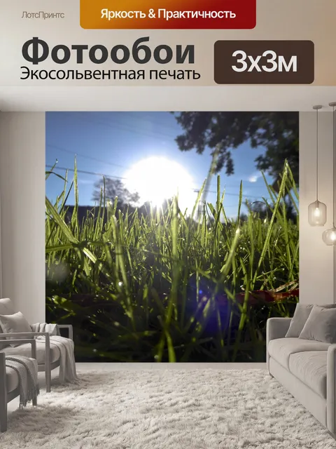 Фотообои Ошибки глаз