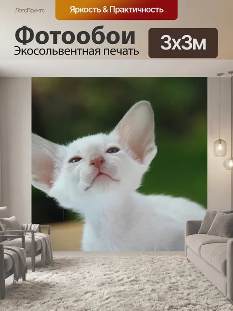 Фотообои Сиамский