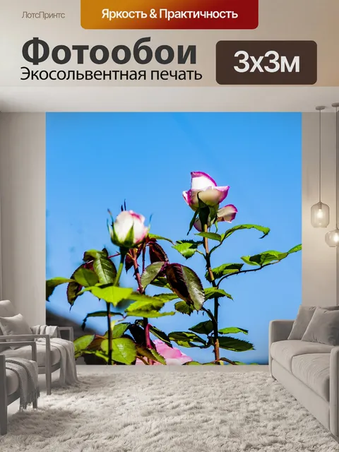 Фотообои бутоны роз