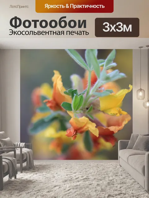 Фотообои Зеленый