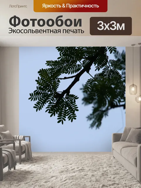 Фотообои ветками сложного листа