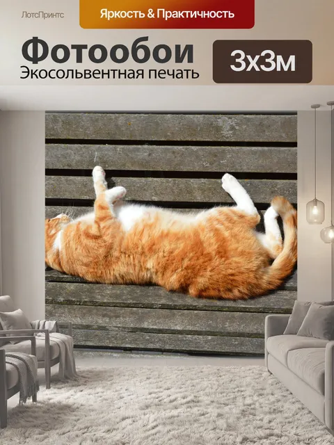 Фотообои 04 кошки