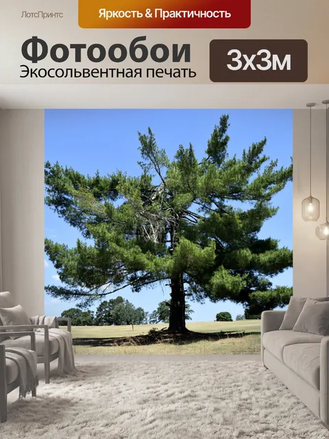 Фотообои Одно дерево