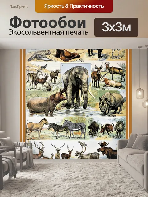 Фотообои Млекопитающие от Адольфа Милло - B